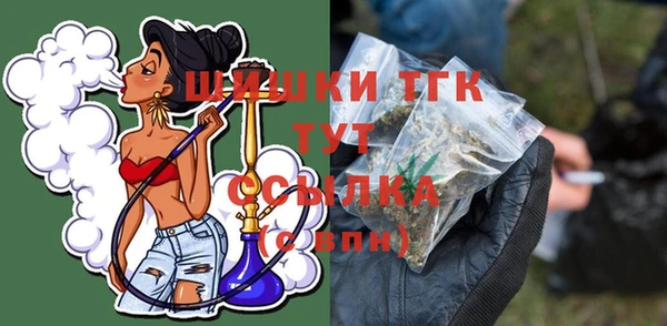 гидра Володарск